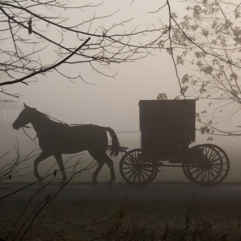 Amish village RPG thumbnail