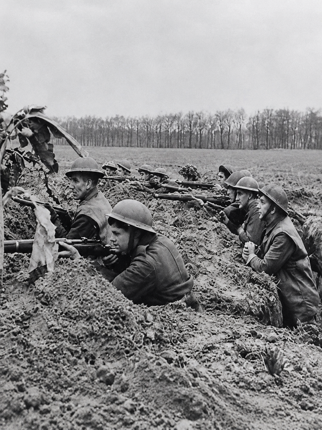 The Western Front (WW1) thumbnail