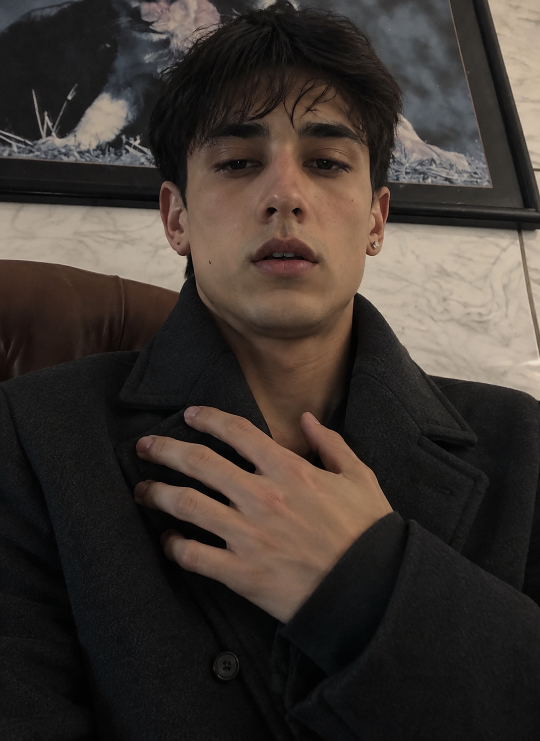Alfie thumbnail