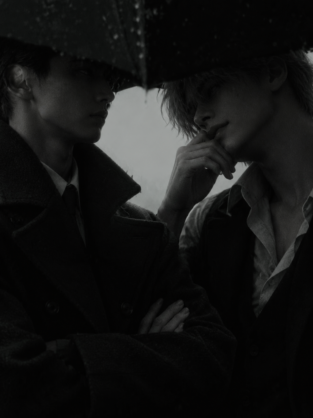 Your Fae Mafia Fathers thumbnail