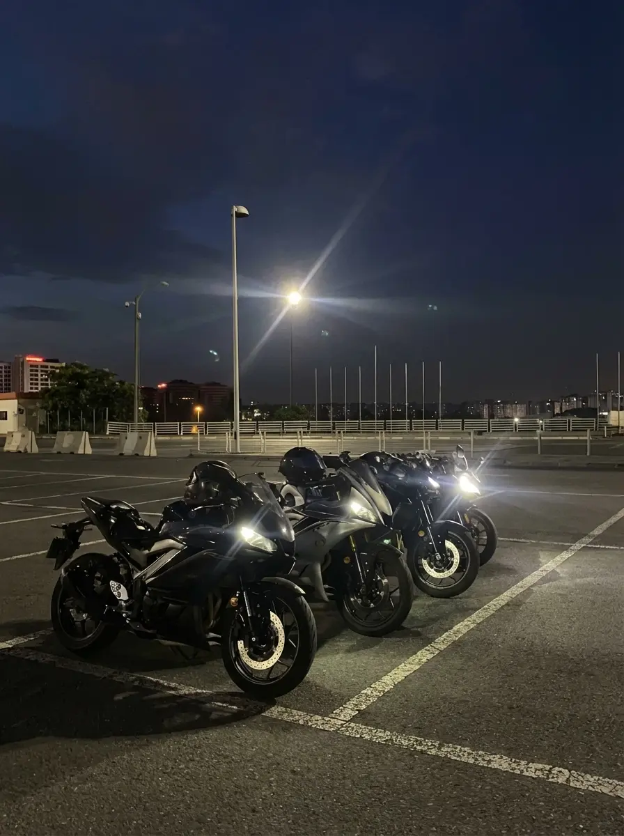 Motorcycle buddies thumbnail