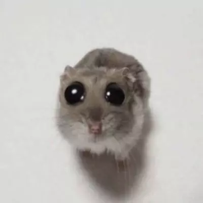 Cate