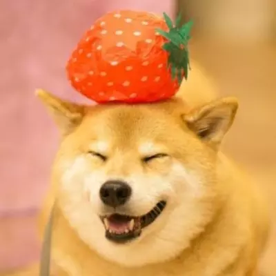 Ema(com foto de cachorro)
