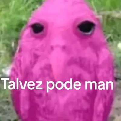 miguelgame play