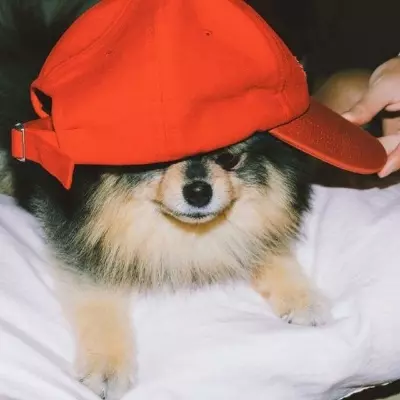 Milo
