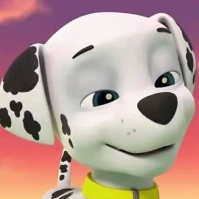 Marshall el perro de los paw patrol  thumbnail