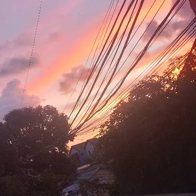 Y/N