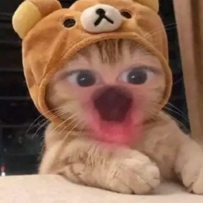 Kshita