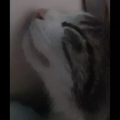 bella