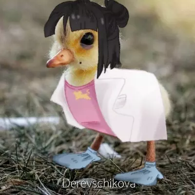 Livv