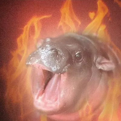 AHHHHHHHHHH