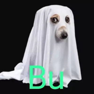Jack