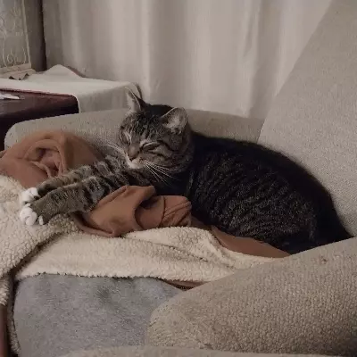 zenaskittle117 