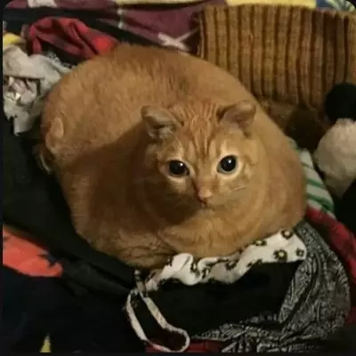 Rubí