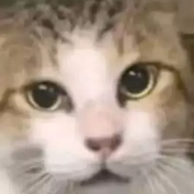Daunu