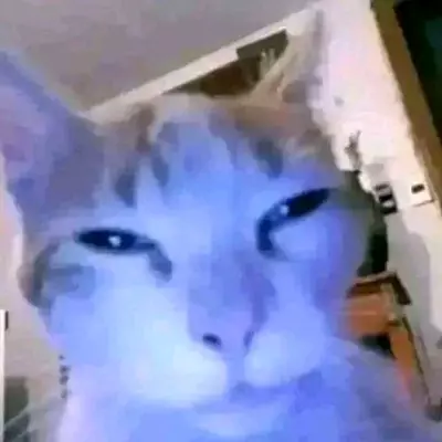 ★~•Bungus•~★