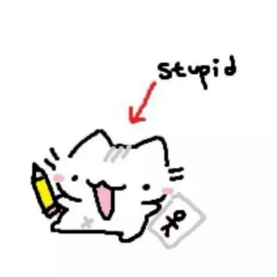 Gato estupido