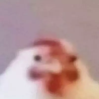 Amoonith