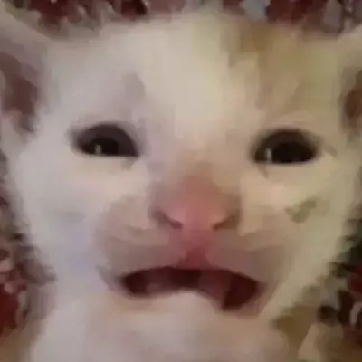 Кристина