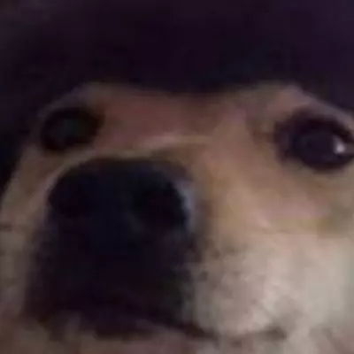 Soviet doge