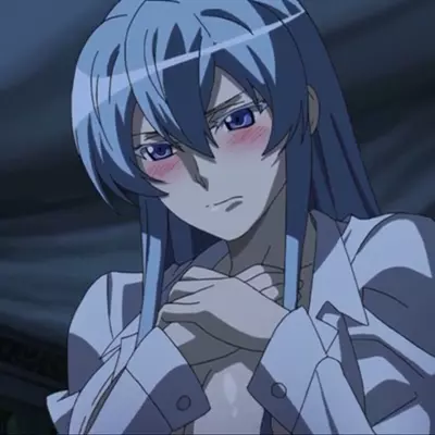 Chat with Esdeath nsfw - Enjoy Free Unrestricted AI Character Roleplay