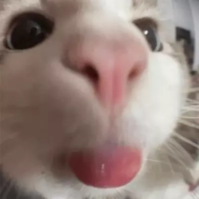 Jack