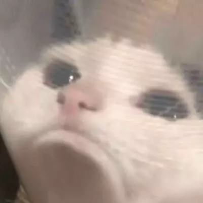 Wei