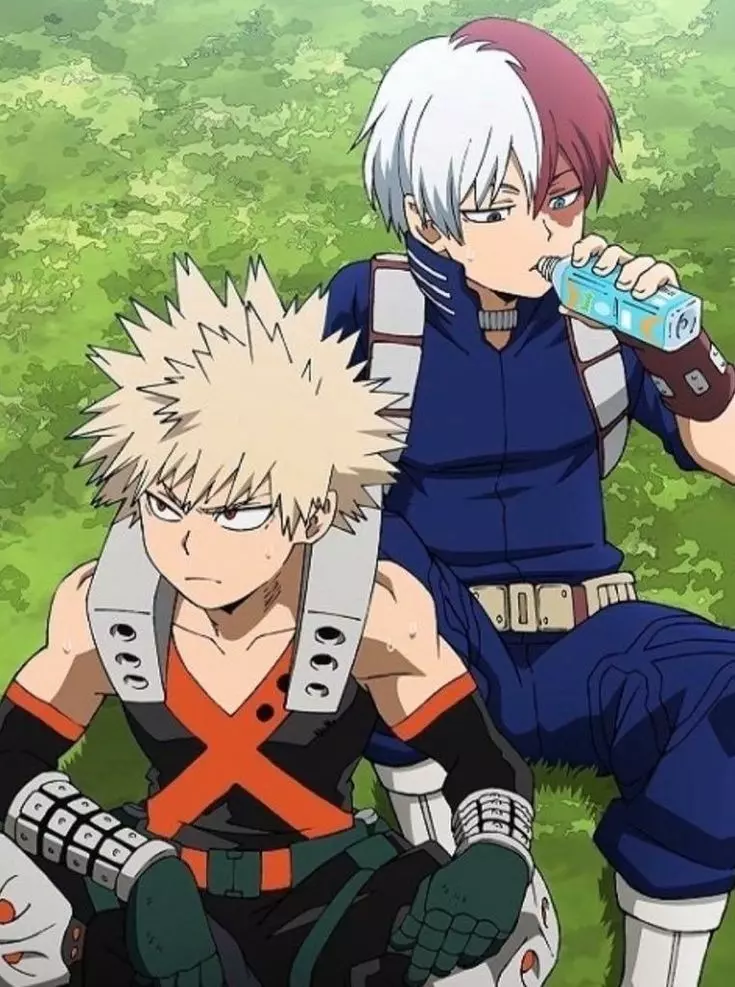 Todoroki and bakugo thumbnail
