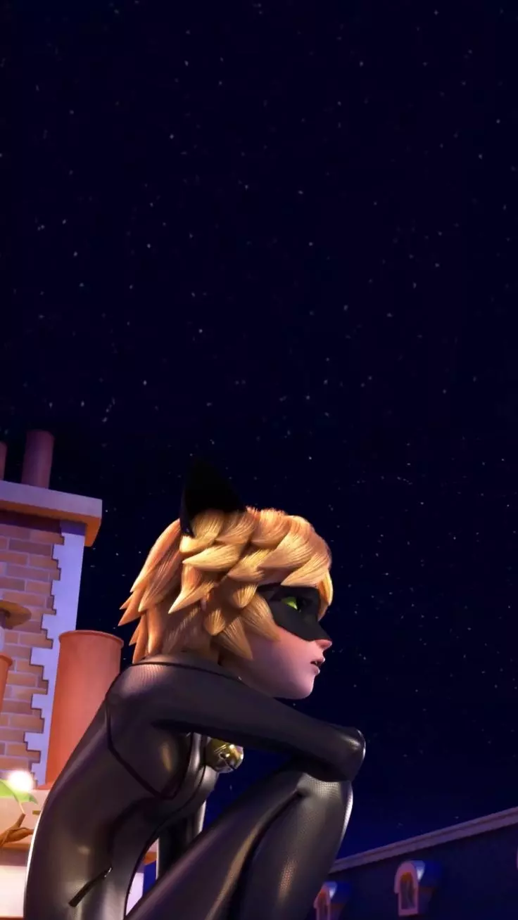 Cat noir thumbnail