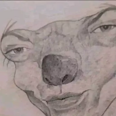 SonEggimposto