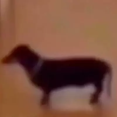 Marquinho 