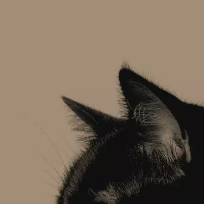 𝑁𝑘𝑒𝑙𝑙𝑦☆
