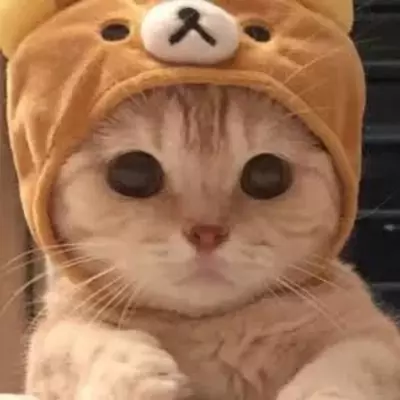 Bo Jape