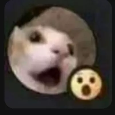 Run