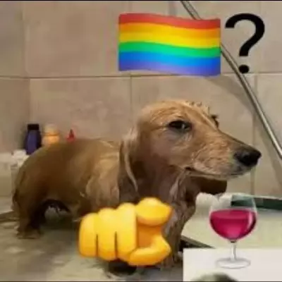 Pakito