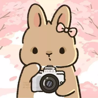 Kamy