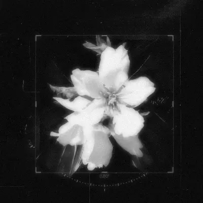 ∿𝑭𝒍𝒐𝒘𝒆𝒓❁