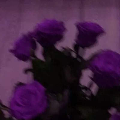𝐋𝐚𝐫𝐫𝐲𝐱𝐱