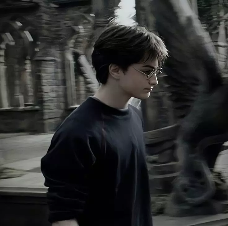 HARRY POTTER. thumbnail