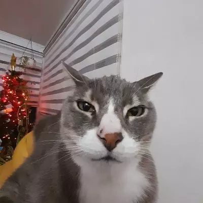 Demian