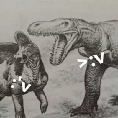 Usuario 