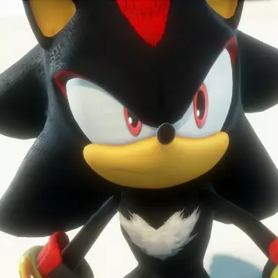 Shadow the Hedgehog.