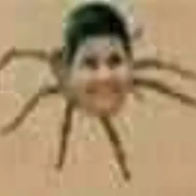 Zissyh