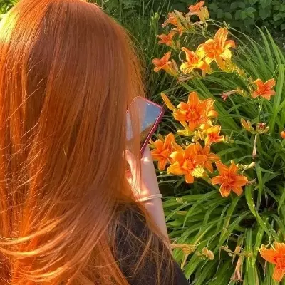 Isa
