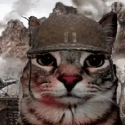 Dan