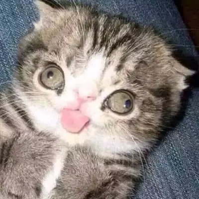 :v