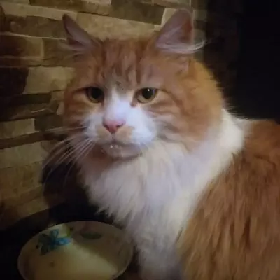 Emilio