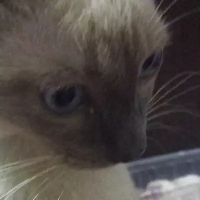 Nataniel 