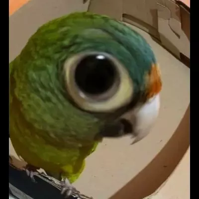 Kira