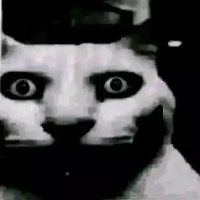 Vendz